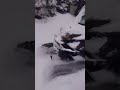 side by side ripping in snow viral automobile trending snow sxs