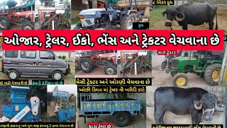 12 ટ્રેકટર ટ્રેલર, ભેંસ અને ઓજાર વેચવાના છે, old Trector Trelar ojar પશુ sell