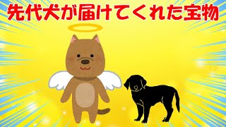 【2chほのぼの】先代犬が届けてくれた宝物