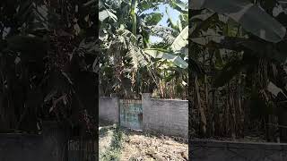 উত্তরা 17 নম্বর সেক্টর মেট্রো রেল স্টেশনের পাশে ৩ কাঠার প্লট বিক্রয় হবে বিস্তারিত কমেন্ট বক্সে