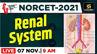 Renal System  || Important Questions || NORCET || AIIMS || By Raju Sir