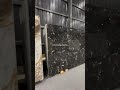 italian marble for bathroom walls. italianmarble blackitalianmarble italianmarbleinkishangarh