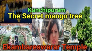 रहस्यमय आम का पेड़ Kanchipuram Ekambareswarar Temple की विशेषता जानने के बाद आप दंग रह जाएंगे #shiv