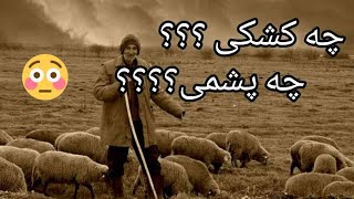 ..........حکایت خیلی جالب و شنیدنی داستان چه کشکی و چه پشمی