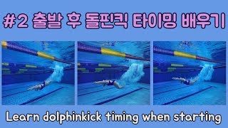 최미혜 수영🏊🏻‍♀ 수영 스타트 후 돌핀킥 타이밍 배우기 / Dolphin kick drills / Timing underwater dolphin