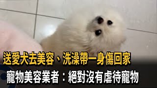 台北寵物美容店遭投訴 民眾質疑愛犬遭粗暴對待－民視新聞