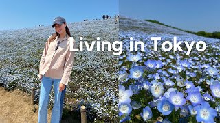 JAPAN VLOG #51 | Flower fields at Hitachi seaside park | making homemade dumplings | weekly vlog