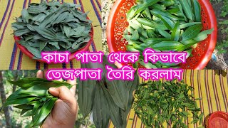 গাছ থেকে তেজপাতা ছিরে কিভাবে সংরক্ষণ করে রাখলাম, তেজপাতা গাছ দেখতে কেমন দেখুন ❤️👈