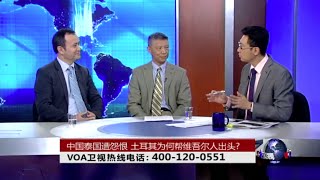 VOA卫视(2015年7月15日 第二小时节目 时事大家谈 完整版)