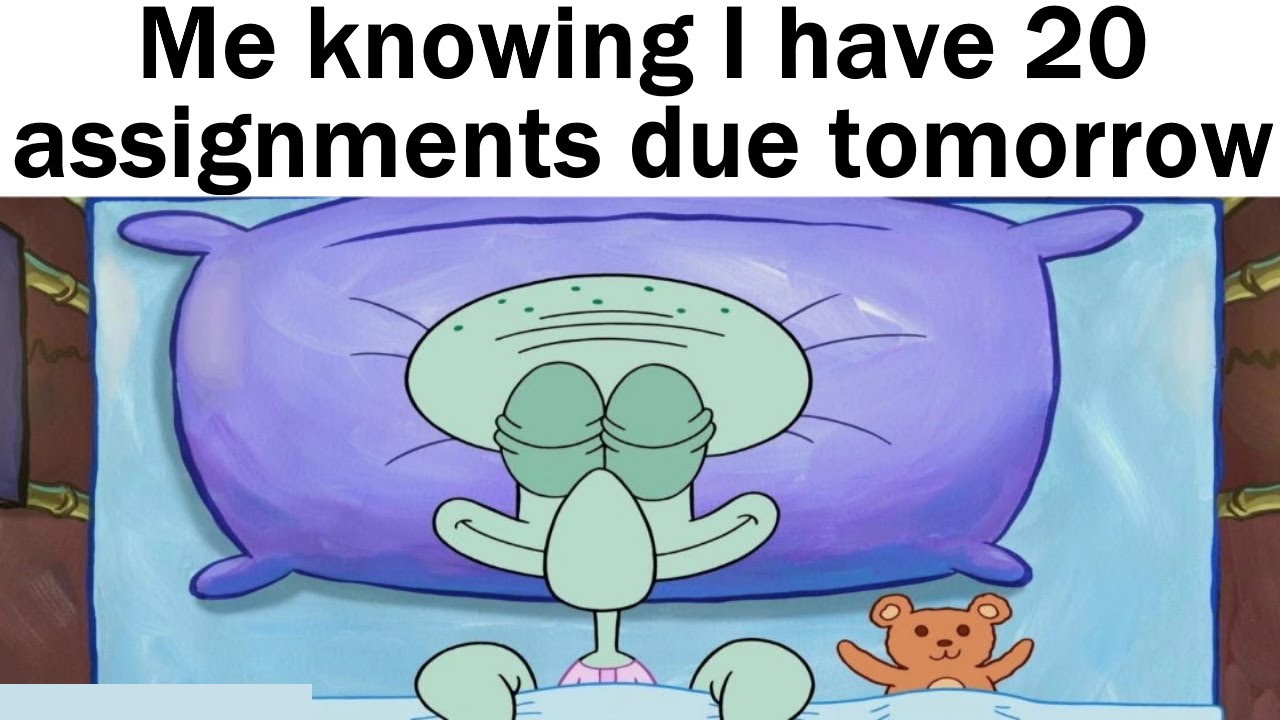 School Memes Only Students Understand Youtube