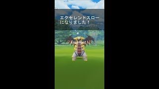 【Pokemon GO】レイドバトル　ギラティナ　ゲットチャレンジ　エクセレントスローを出そう！参考