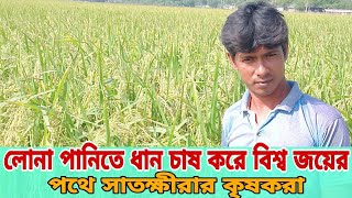 সাতক্ষীরা জেলার কৃষকরা লোনা পানিতে ধান চাষ করে ভাগ্যের চাকা খুলে গেছে বাম্পার ফলনে কৃষকের মুখে হাসি।