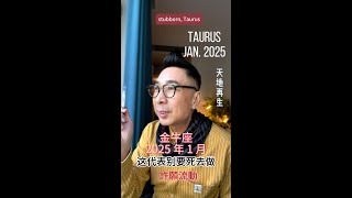 2025年 1月運氣 ♉️ 金牛座 Taurus “天地再生 ” 許願流動！