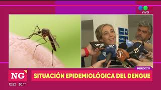 Confirman 8 nuevos casos de dengue - Telefe Rosario