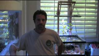 Kessil LED Aquarium Lights LA Fishguys Episode 136 part 1