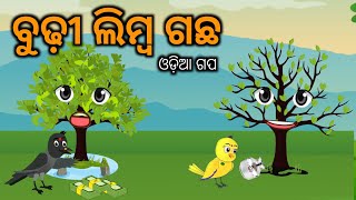 ବୁଢ଼ୀ ଲିମ୍ବ ଗଛ Tuni Chidiya Bird Stories|Odia gapa|fairytale in odia moral story Odia gapa duniya