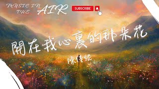 陳佳妮 - 開在我心裏的那朵花『是他圈出未來 美好的圖畫』【動態歌詞】