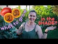 21 Edible Plants to GROW IN THE SHADE 🌿 Let's grow more food at Home 🌿 Growing Food in Shade