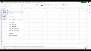 How to Transposed Google Sheet Data Vertical to Horizontal