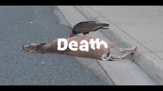 Death Episode (Ep 1) (WARNING: Somewhat Graphic)