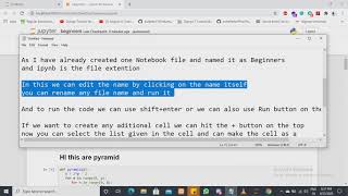 Python Pyramid programming ***