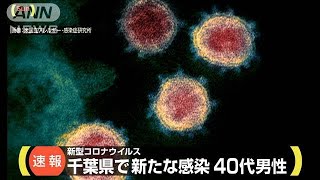 千葉県で10人目の感染確認　広島、岐阜に出張も(20/02/23)