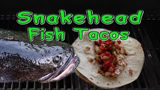 Northern Snakehead Fish Tacos Catch and Cook | Invasive Species |Fresh Blackened Fish Tacos