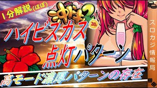 【沖ドキ2】【期待値】絶対にヤメてはいけない!?ハイビスカス点灯パターンについて