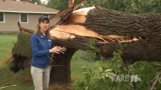 Overnight storms leave damage in parts of MN