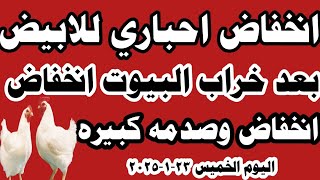 اسعار الفراخ البيضاء سعر الفراخ البيضاء اليوم الخميس ٢٣-١-٢٠٢٥ جملة وقطاعي في المحلات في مصر