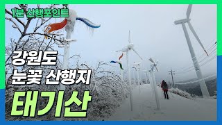 [1분 산행포인트] 태기산 최단 등산코스 ㅣ가성비 겨울 눈꽃산행지 ㅣ 강원도 태기산