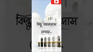 এরকম স্বামী স্ত্রী চাই 🥰#shorts #viral #trending #youtubeshorts #wife#husband #স্বামীস্ত্রীরভালোবাসা