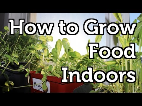 Setting up a Basic Indoor Grow Room Setting up a Basic Indoor Grow Room