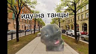 кошачья жизнь 2 часть