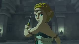 Zelda Tears Of The Kingdom Edit Legends Never Die