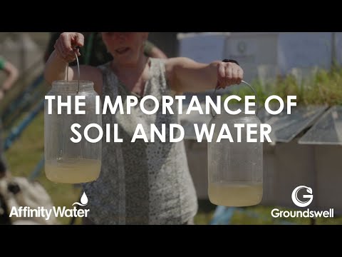 Is soil water important for transpiration?