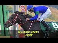 【パンサラッサ🍞】産駒の写真が公開される！！に対するみんなの反応集【競馬の反応集】