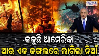 ଜଳୁଛି ଆମେରିକାଆଉ ଏକ ଜଙ୍ଗଲରେ ଲାଗିଲା ନିଆଁ | Odia News Live Updates | Latest Odia News | Samayalive