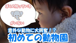 はじめての動物園  意外な動物に大興奮！？　#１歳児　#初めての動物園