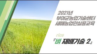 2021 새해농업인실용교육(벼-2)