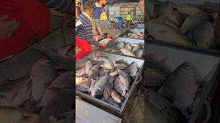 Amazing Big Fish Market #trending #shorts #fish