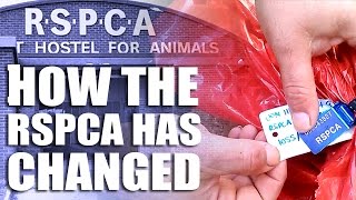 How the RSPCA has changed