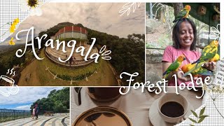 Unearthing the Mysteries of Arangala Forest Lodge: Sri Lanka's Hidden Gem