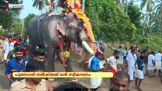 പൂരനഗരിയിൽ ആവേശത്തിരയിളക്കി തെച്ചിക്കോട്ടുകാവ് രാമചന്ദ്രൻ