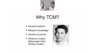TCM and Shiatsu - an Energy based approach