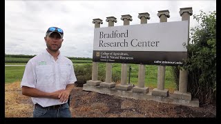 2020 Virtual Field Day:  Soybean Weed Management and New Soybean Herbicides