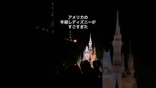 2019→2020のカウントダウン✨#一生の思い出 #ディズニー #フロリダディズニー