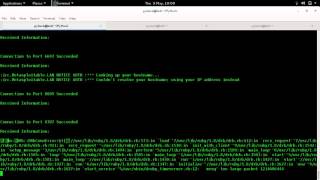 Python: Network Scanner ( TCP Port Flood )