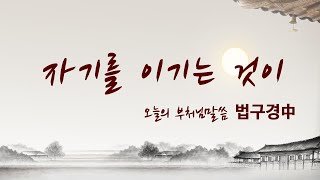 자기를 이기는 것이 _ 법구경 中 I오늘의 부처님말씀I