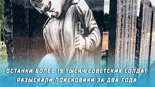 Останки более 19 тысяч советских солдат удалось разыскать поисковым организациям за два года